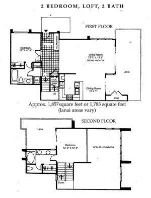 ���t�g�E2�o�X